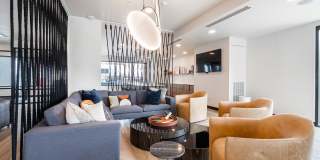 1919 Mile High Gallery 17