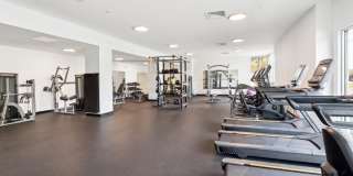 The Point on 38th Gallery 8