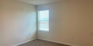 15747 EQUINE GAIT Drive Gallery 15