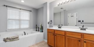 1126 HAMPTON Street Gallery 25