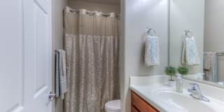 9116 W Silver Cholla Dr Gallery 29