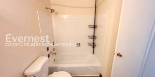 1183 Milky Way Gallery 18