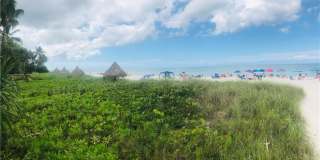 1200 Gulf Shore Blvd N unit: 404 Gallery 33