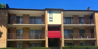 13207 DAIRYMAID DR #301 13207 DAIRYMAID DR #301 Gallery 1