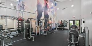 10X Port Royale 10X Port Royale Gallery 25