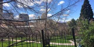 Large Private Furnished Girl  Room Downtown ASAP - Balcony, Storage and more Gallery 14