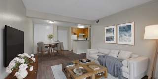 4200 Paradise Gallery 6