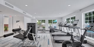 Stuart Hill Gallery 18