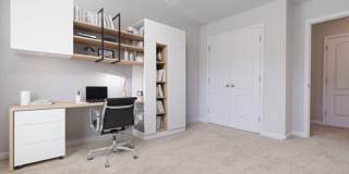 Poplin Trace Gallery 8