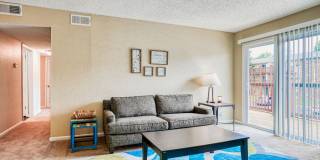 Ashford Place Gallery 35