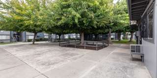 Prospera Village Gallery 35