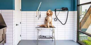 Canopy Park Gallery 12