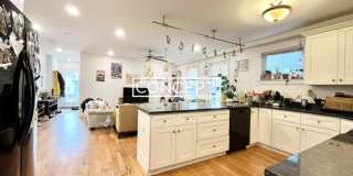 12 Fern Gallery 2