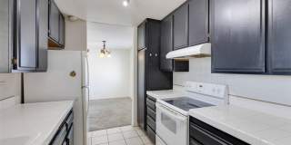 833 Cinnamon Gallery 13