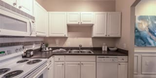 The Circle at Hermann Park Gallery 15