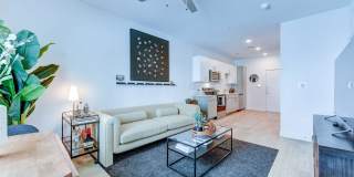 Park South Gallery 34
