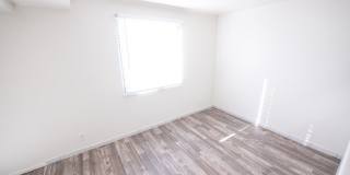 5300 South 900 East Gallery 50