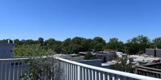 2944 CAMBRIDGE Street Gallery 19