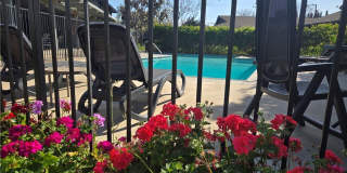 1107 W Memory Lane Gallery 25