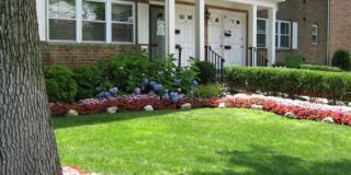 Carlton Club Apartments Gallery 2