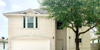 337 Longhorn Way Gallery 1