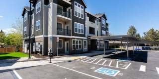 Red Hawk and Laurel Grey Gallery 4