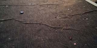 1002 Upper Cahokia Rd Gallery 10