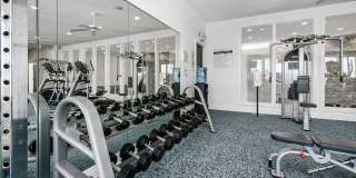 Alexander Park Gallery 21