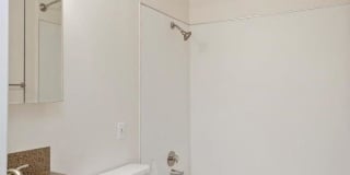 Sugar Pine Gallery 16