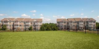 Madison Providence Gallery 30