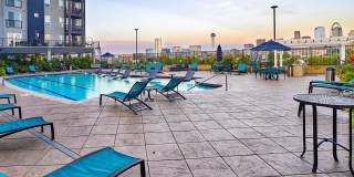 Element 47 by Windsor Gallery 2