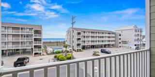 Close to the beach Gallery 54