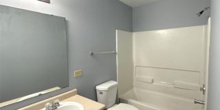 2937 Royal Fern Lane Gallery 18