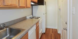 3912-28 N Pine Grove Gallery 45