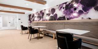 Legacy at Livermore Gallery 37