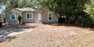 Newly renovated 3bed/2bath home in plant high district Gallery 1