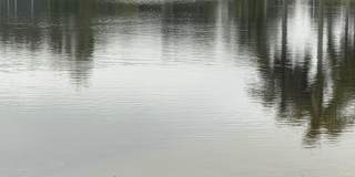 9391 Bridgeport Drive Gallery 30