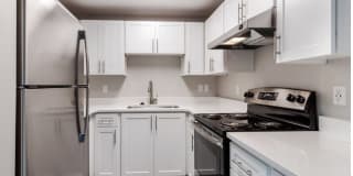 Avana Evergreen Gallery 14