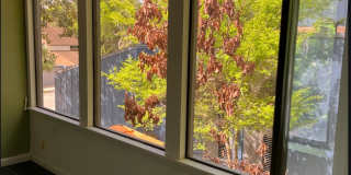 233 Pine Cone Trail Gallery 17