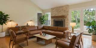 4409 Twisted Tree Dr Gallery 2