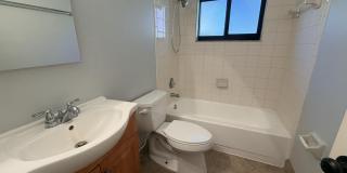 4075 Palm Forest Drive N Gallery 18