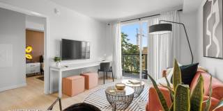 Ion Town Center Gallery 11