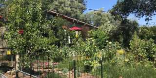 3+ Bedroom Custom Eastside Home Gallery 27
