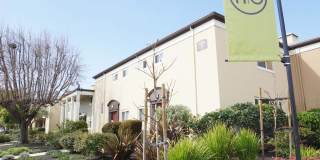 Hillsdale Garden - Affordable Housing Gallery 36