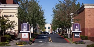 Lionsgate South Gallery 41