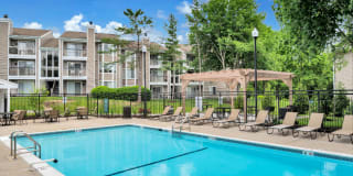 Columbia Glade Gallery 36