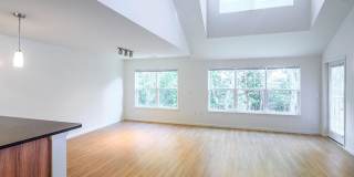 Merion Stratford Gallery 18