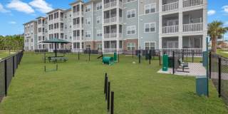 Parc at Wesley Chapel Gallery 32