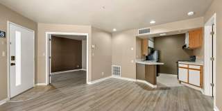 505 Collection Gallery 36