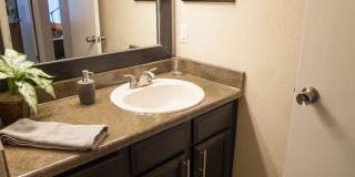 The Versailles Gallery 17